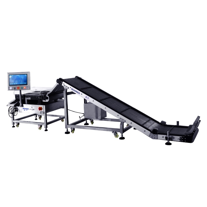 High Precision 10 lane Checkweigher