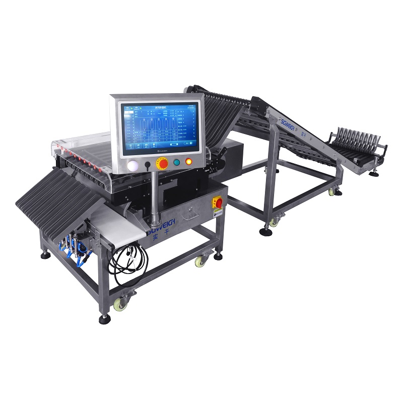 High Precision 10 lane Checkweigher